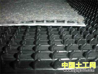 塑料釘板式排水板生產(chǎn)線.jpg